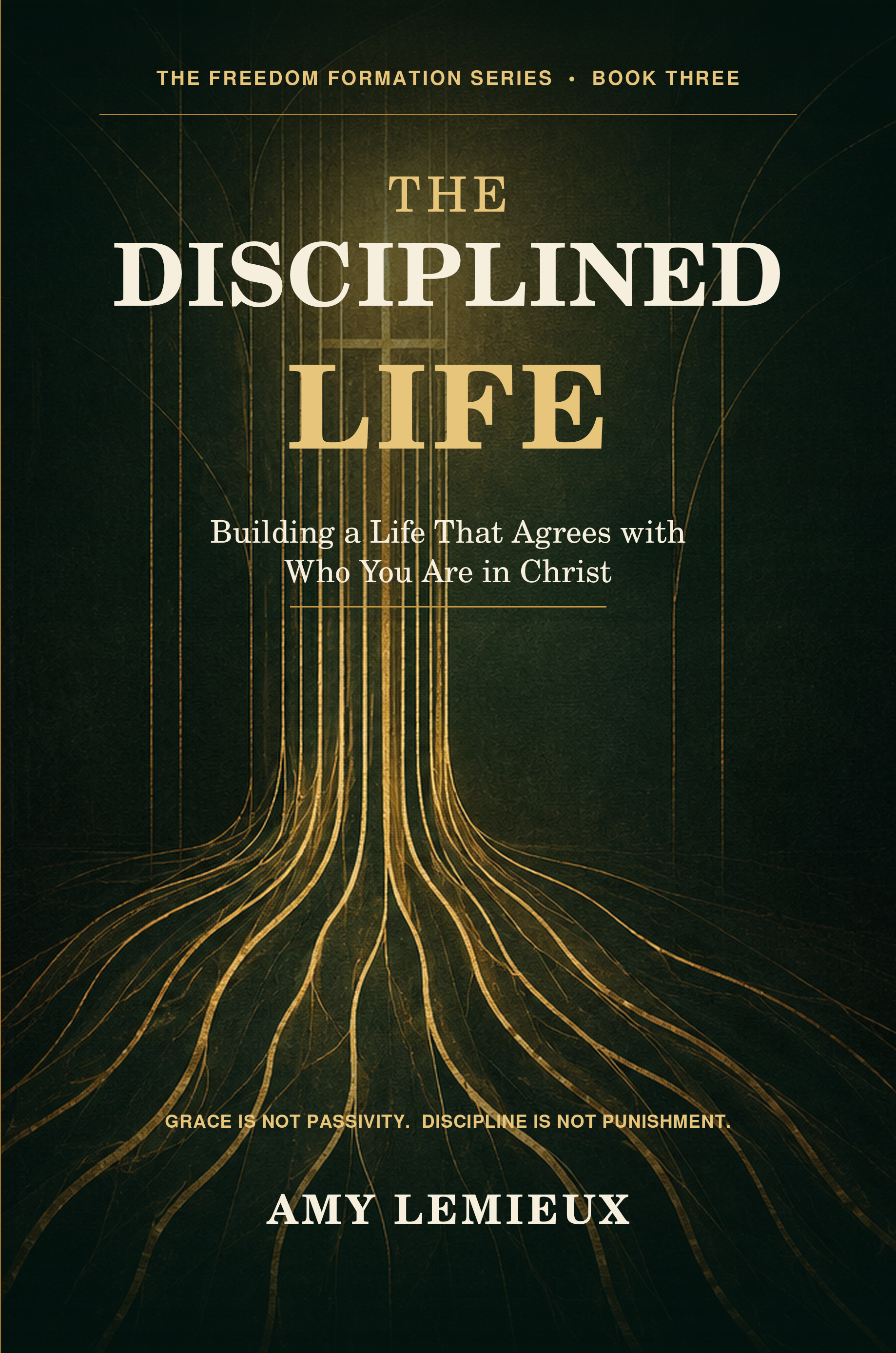 The Disciplined Life by Amy Lemieux book cover
